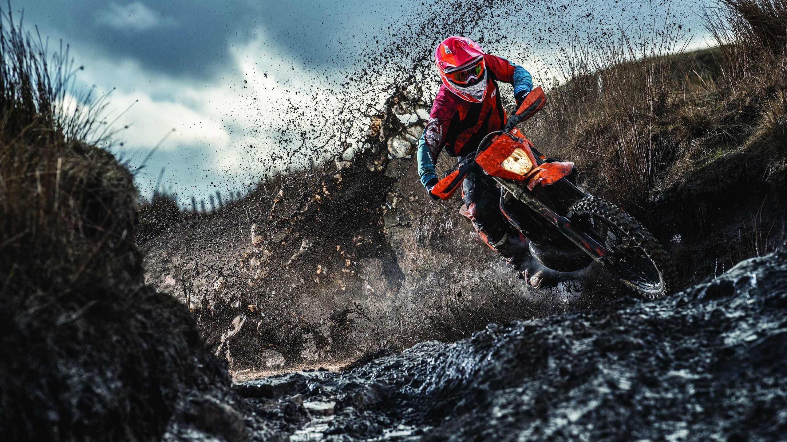 开云下载-未来欧冠的能否出现更多“黑马”？，欧冠还会继续吗